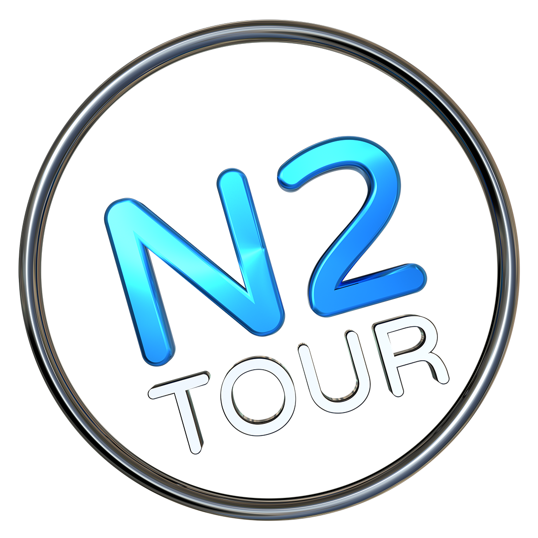 N2 logo