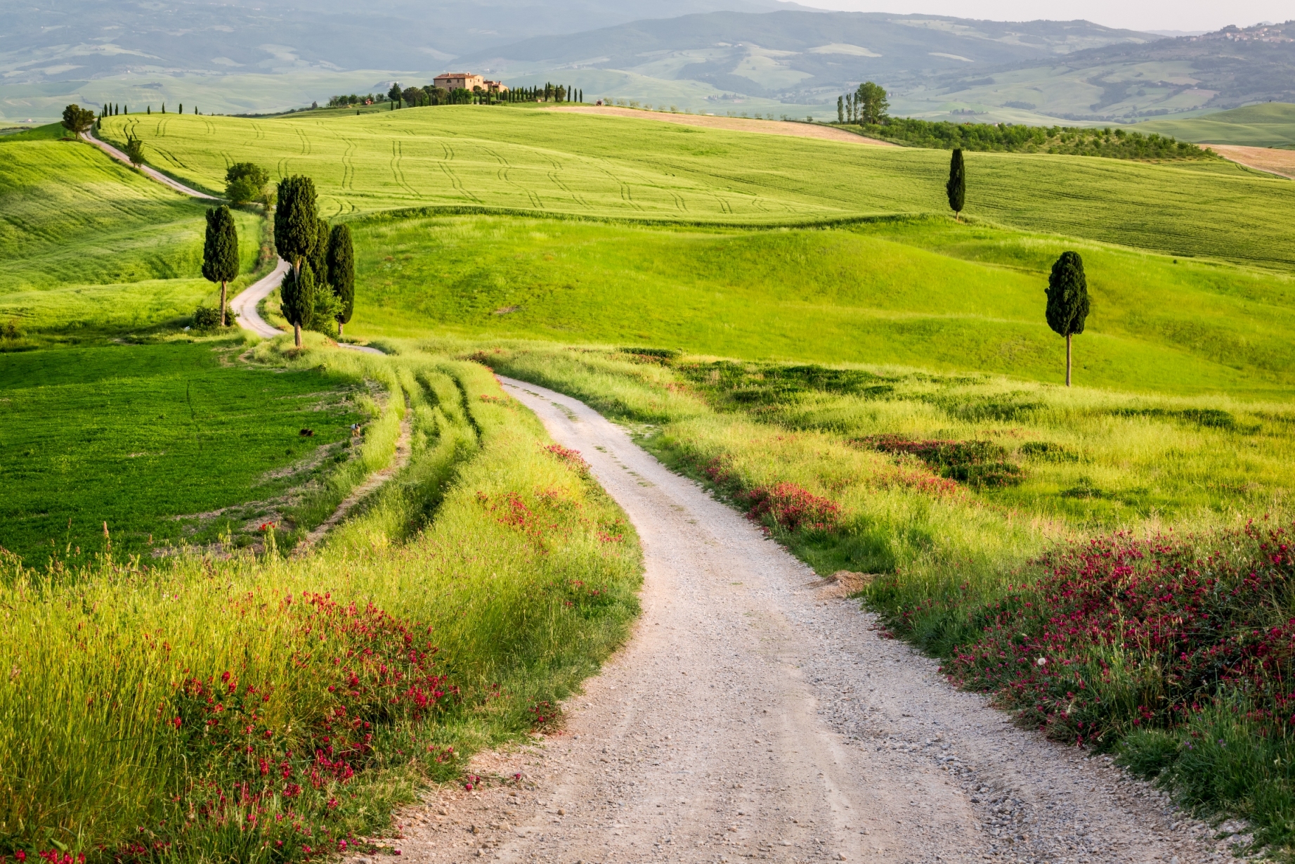 Gravel Cycling Strade Bianche Gravel Cycling Umbria